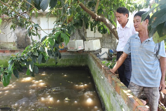 Nông dân sản xuất giỏi ở vùng cát