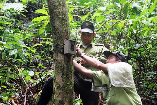Dấu chân những người giữ rừng - Bài 3: Ân nhân của động vật hoang dã