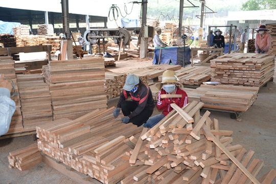 Phát triển kinh tế tư nhân: Mạnh dạn phá dỡ mọi lực cản