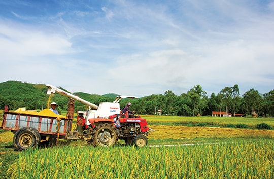 Tích tụ đất đai và sản xuất hàng hóa