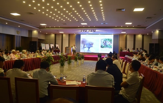 Tìm giải pháp phát triển bền vững hệ sinh học Sơn Trà