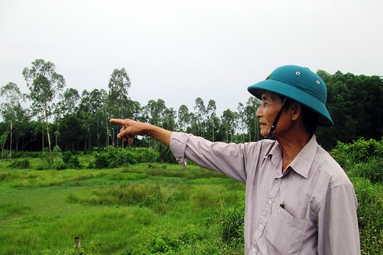 Bỏ ruộng hoang vì đất bồi lấp