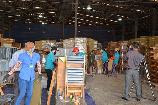 Gỡ khó cùng doanh nghiệp trồng, chế biến gỗ