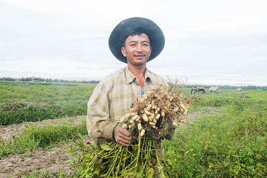 Chuyển đổi cơ cấu cây trồng thích ứng với biến đổi khí hậu: Linh hoạt nhiều giải pháp