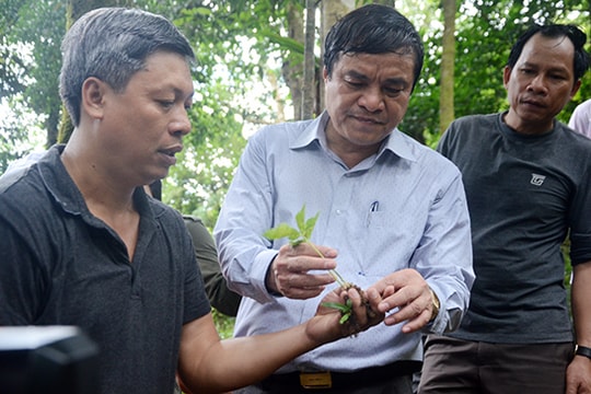 Tập trung giảm nghèo, ổn định đời sống nhân dân