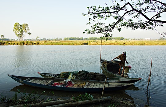 Bến đò dọc làng tôi