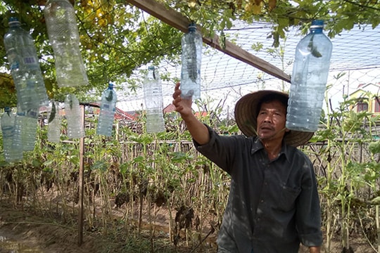 Tiêu điều làng rau Thanh Đông