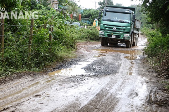 Ruộng vườn bỏ hoang vì bị bồi lấp