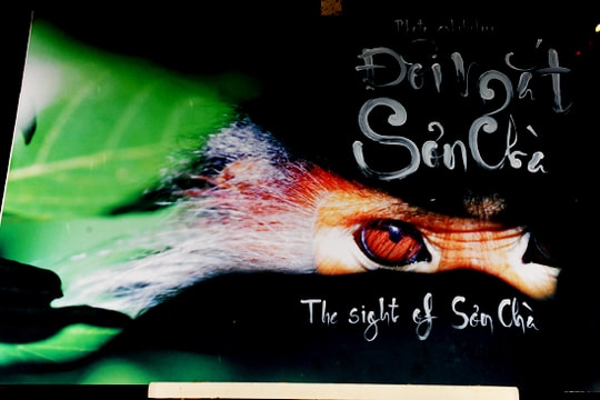 Triển lãm ảnh voọc chà vá chân nâu