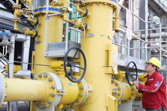 Quyết định thanh tra tài chính tại Tập đoàn Điện lực Việt Nam