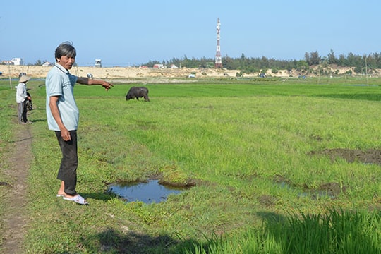 Dồn điền đổi thửa ở Xã Tam Tiến: Nhiều hộ dân không đồng thuận