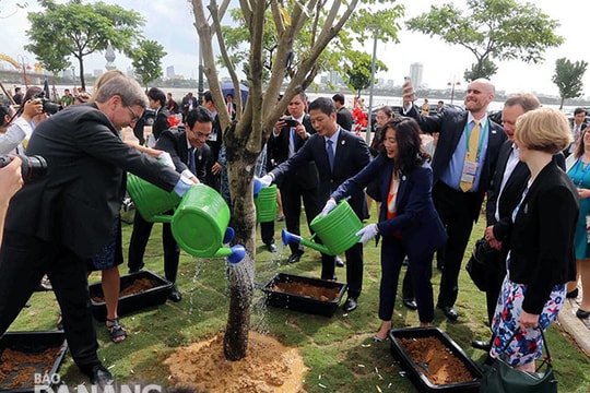 Nên mở rộng Công viên APEC