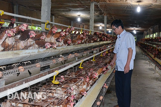 Gương nông dân sản xuất giỏi