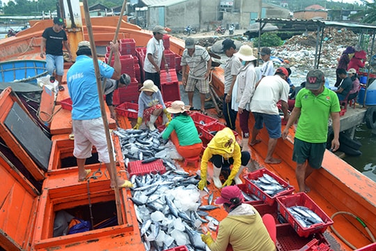 Phát triển nghề cá bền vững