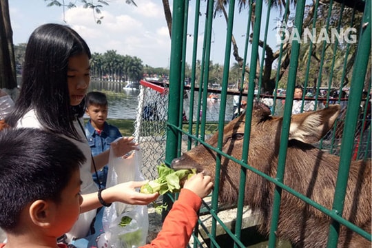 Làm sao để kỳ nghỉ hè vui và bổ ích?