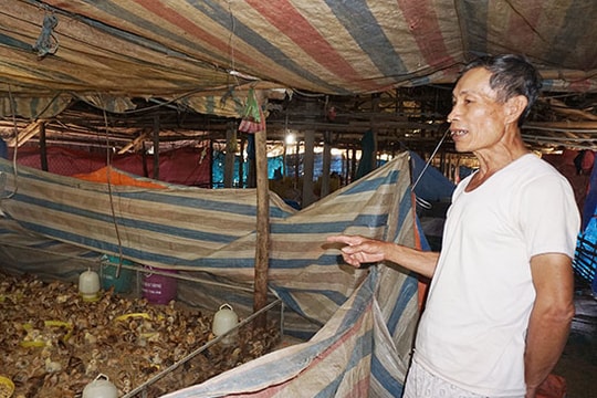 Gương sáng cựu chiến binh