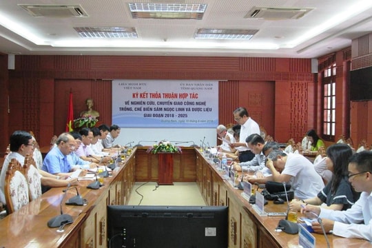 Hợp tác nghiên cứu, chuyển giao công nghệ trồng,  chế biến sâm Ngọc Linh và dược liệu