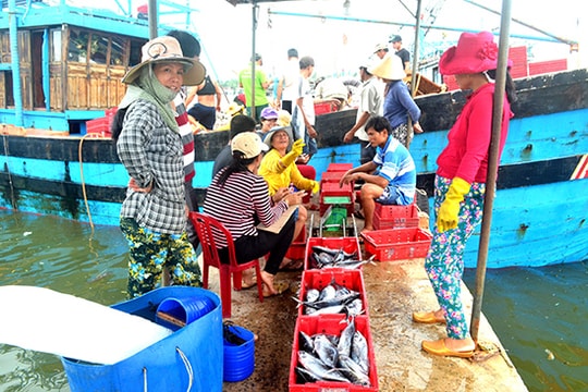 Triển khai Luật Thủy sản 2017: Hướng đến nghề cá trách nhiệm