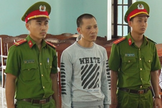 Xét xử một giám đốc về hành vi trốn thuế