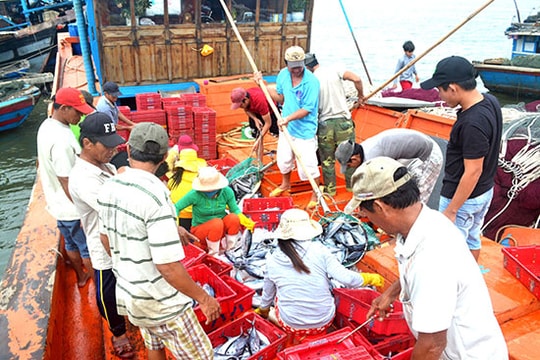 Thành quả từ tái cơ cấu nông nghiệp