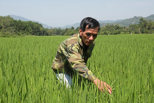 Một dấu ấn của FIDR