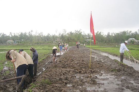 Kinh nghiệm từ dồn điền đổi thửa