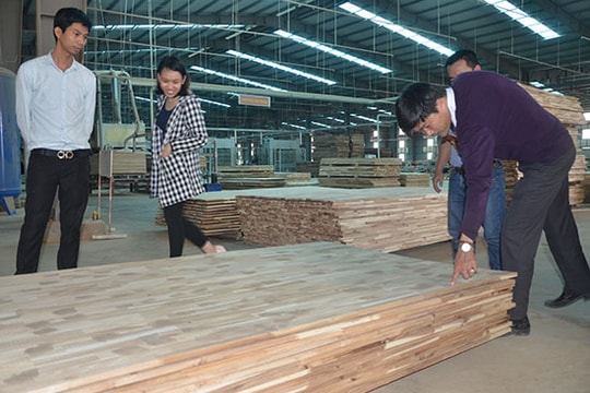 Tìm giải pháp cho ngành chế biến gỗ