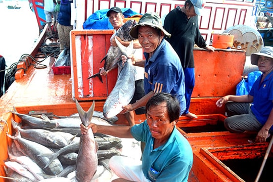 Để phát triển nghề cá bền vững