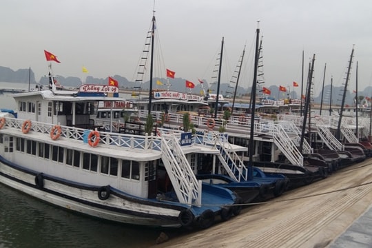 Kêu gọi đầu tư hơn 20 dự án dịch vụ vận tải và bến thủy nội địa