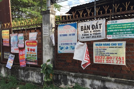 Xử lý đối tượng dán quảng cáo, rao vặt trái phép