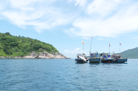 Khu Bảo Tồn Biển Cù lao Chàm: Báo động khai thác hải sản trái phép