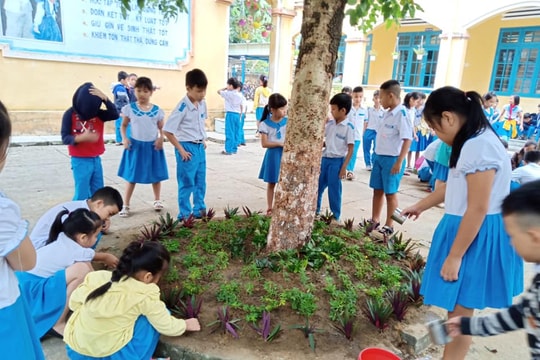 Tam Kỳ: Trường học hưởng ứng ngày Đô thị Việt Nam