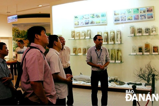 Chuẩn hóa bài thuyết minh khu, điểm du lịch