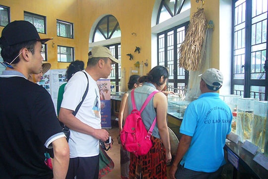 Khai thác du lịch Cù Lao Chàm: Giá trị văn hóa chưa được chú trọng