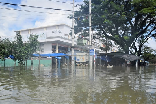 Tiểu thương chợ Tam Kỳ thiệt hại nghiêm trọng do hàng hóa chìm trong nước lụt (clip)