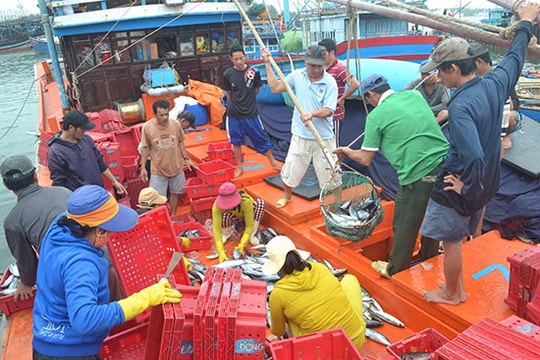 Bí thư Huyện ủy Thăng Bình - Phan Công Vỹ: "Thúc đẩy chuyển dịch mạnh mẽ cơ cấu kinh tế"