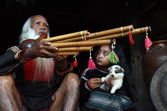 Cây đa bến nước, cây sung đầu làng