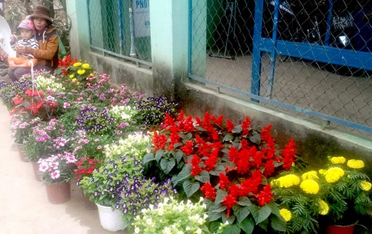 Cuối năm thăm chợ Thơm