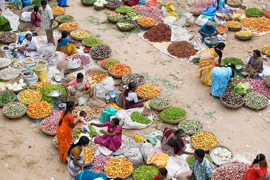 Nỗi lo vệ sinh an toàn thực phẩm trên toàn cầu