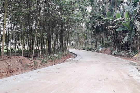 Bảo tồn văn hóa người Co ở Tam Trà