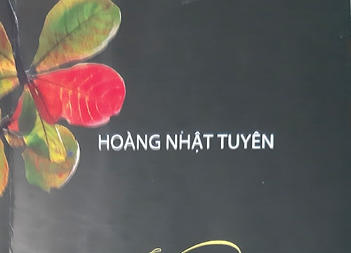 Lặng lẽ ốc đảo riêng mình