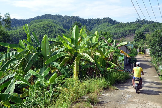 Dự án khu du lịch sinh thái Cổng Trời Đông Giang: Không tác động vào rừng phòng hộ