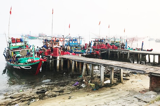 Ngư dân mành đèn trúng đậm cá cơm