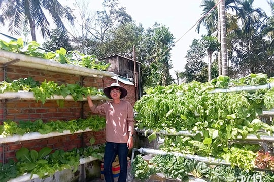 Tạo không gian cho... rau an toàn