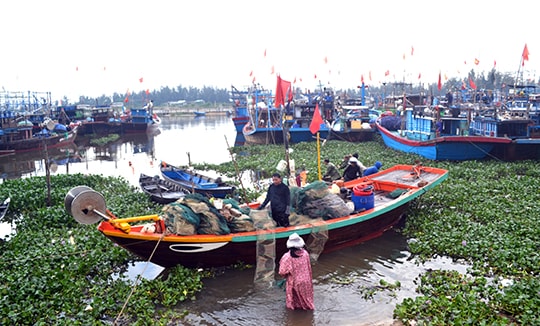 Triển khai Luật Thủy sản 2017: Nhiều vướng mắc