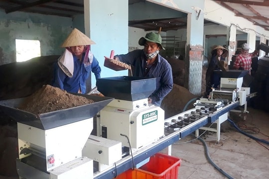 Gương sáng cựu chiến binh làm kinh tế