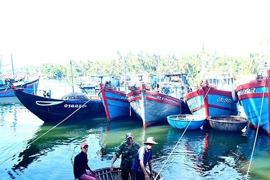 Bấp bênh nghề cá ven bờ - Bài 2: Tận diệt nguồn lợi