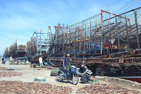 Bất cập truy xuất nguồn gốc hải sản