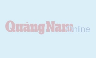 Hướng dẫn lập hồ sơ xây dựng nhãn hiệu gà ta Mười Tín