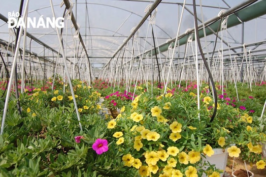 Hiệu quả từ chính sách thu hút đầu tư